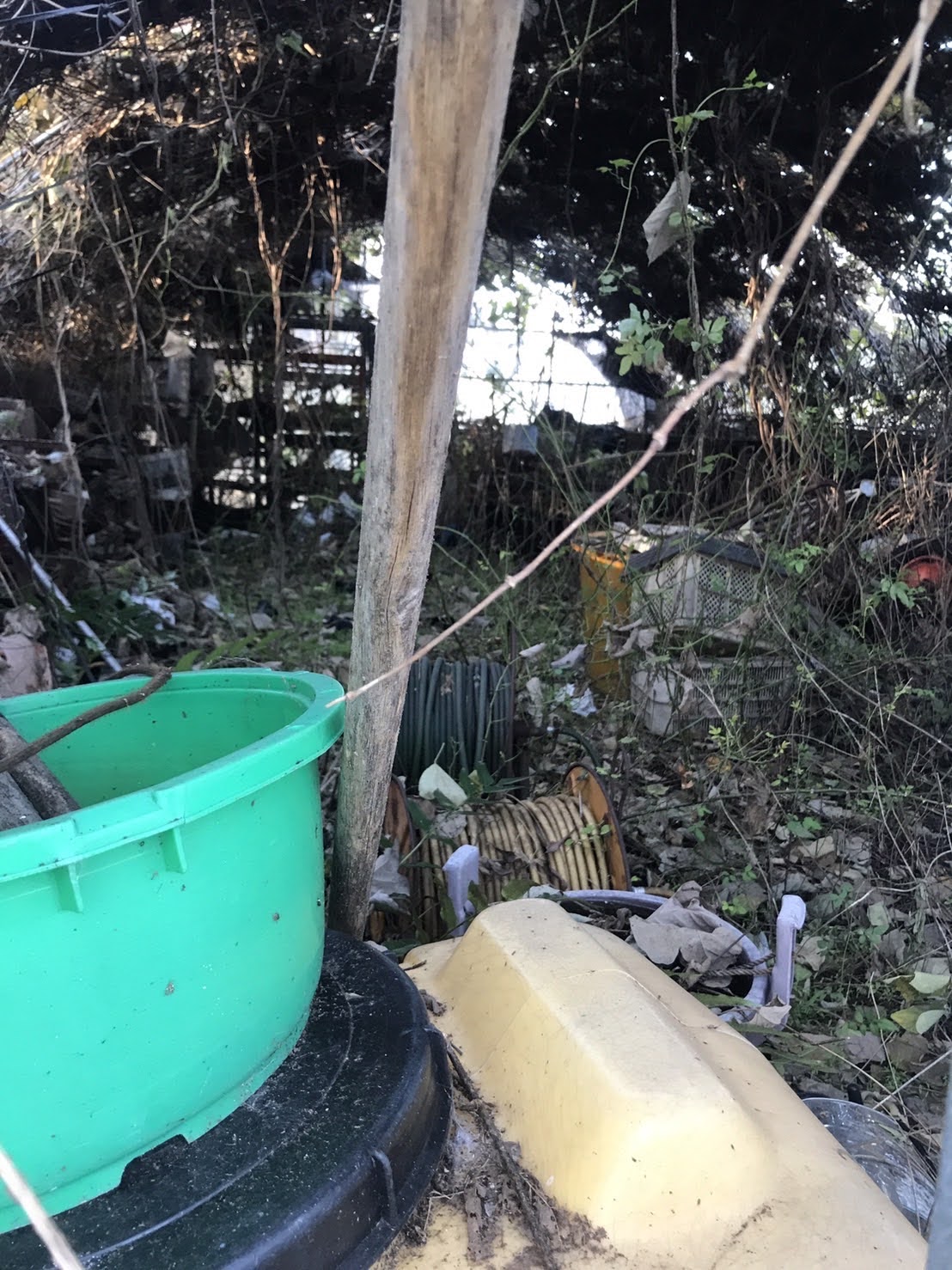 投稿についてもっと詳しく ついに、未知のビニールハウスの中へ