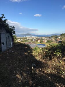 投稿についてもっと詳しく ビニールハウスが見えてきた