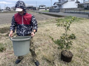 投稿についてもっと詳しく レモンの植樹